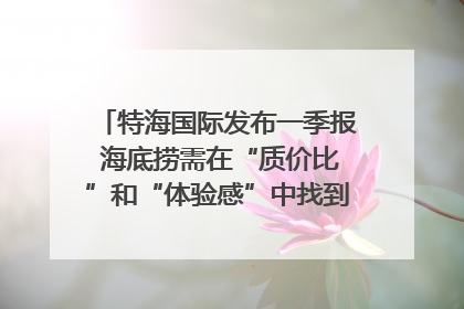 特海国际发布一季报 海底捞需在“质价比”和“体验感”中找到平衡｜新经济观察